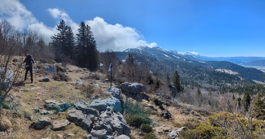 relive82.jpg