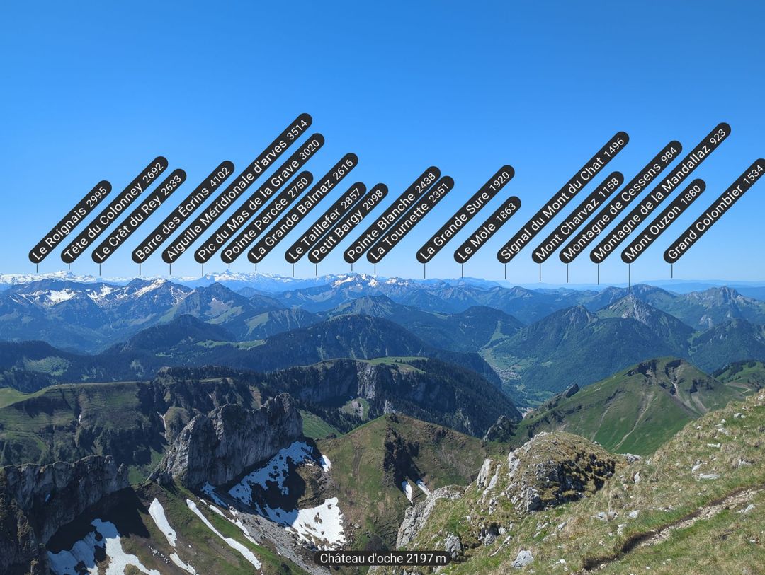 relive30.jpg