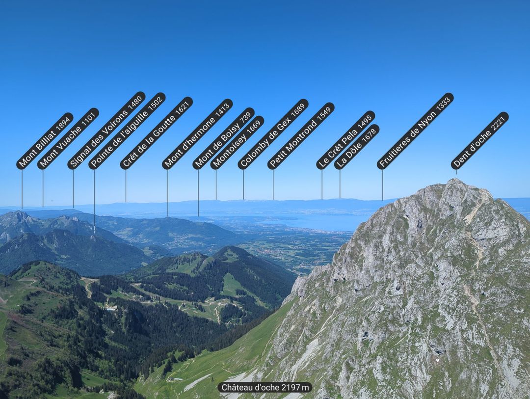 relive34.jpg