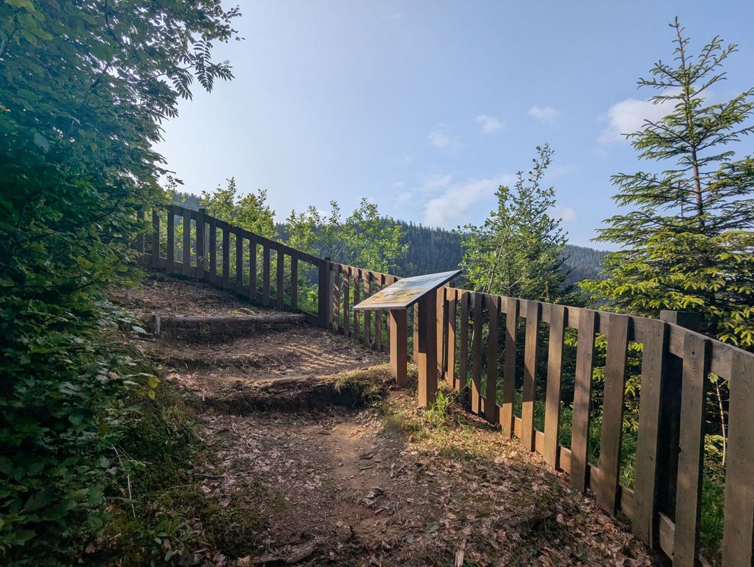 relive40.jpg