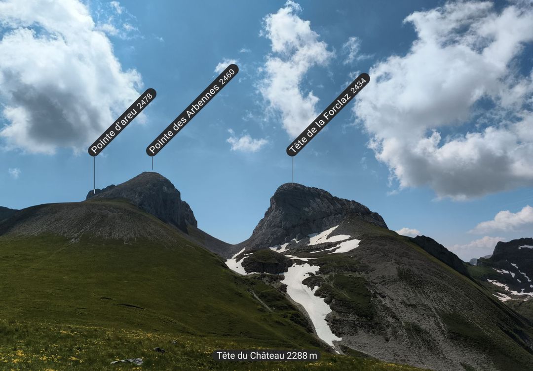 relive16.jpg