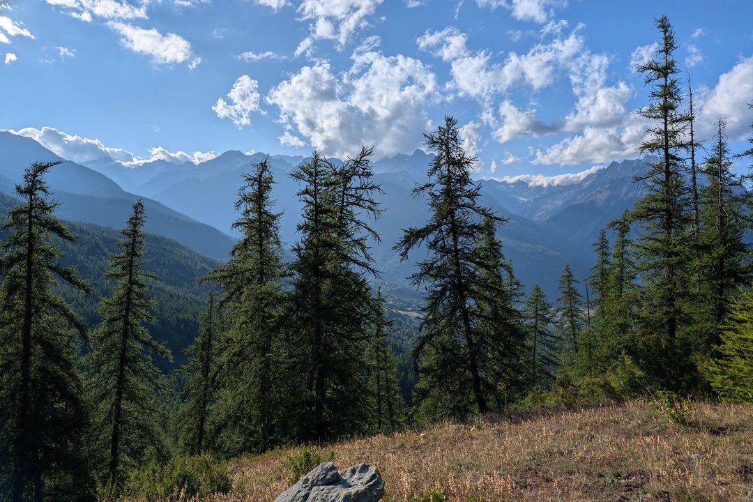relive79.jpg
