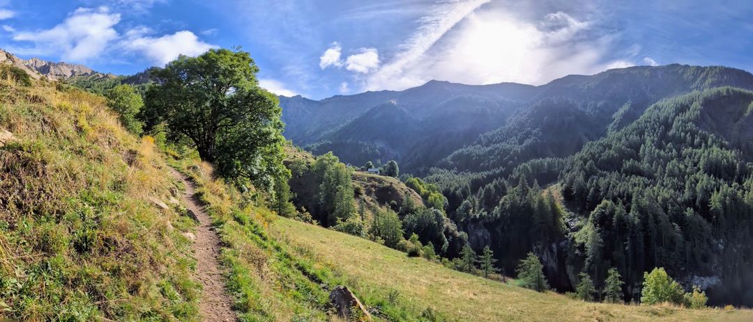 relive6.jpg