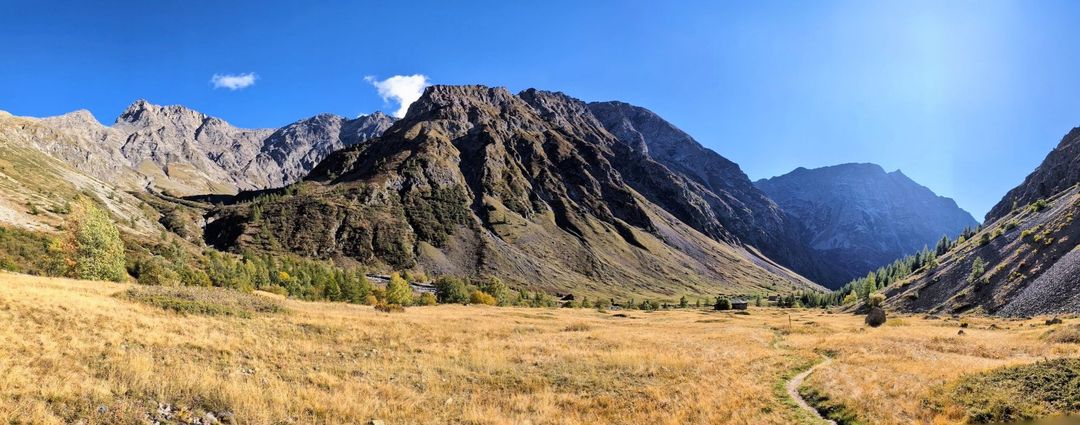 relive85.jpg