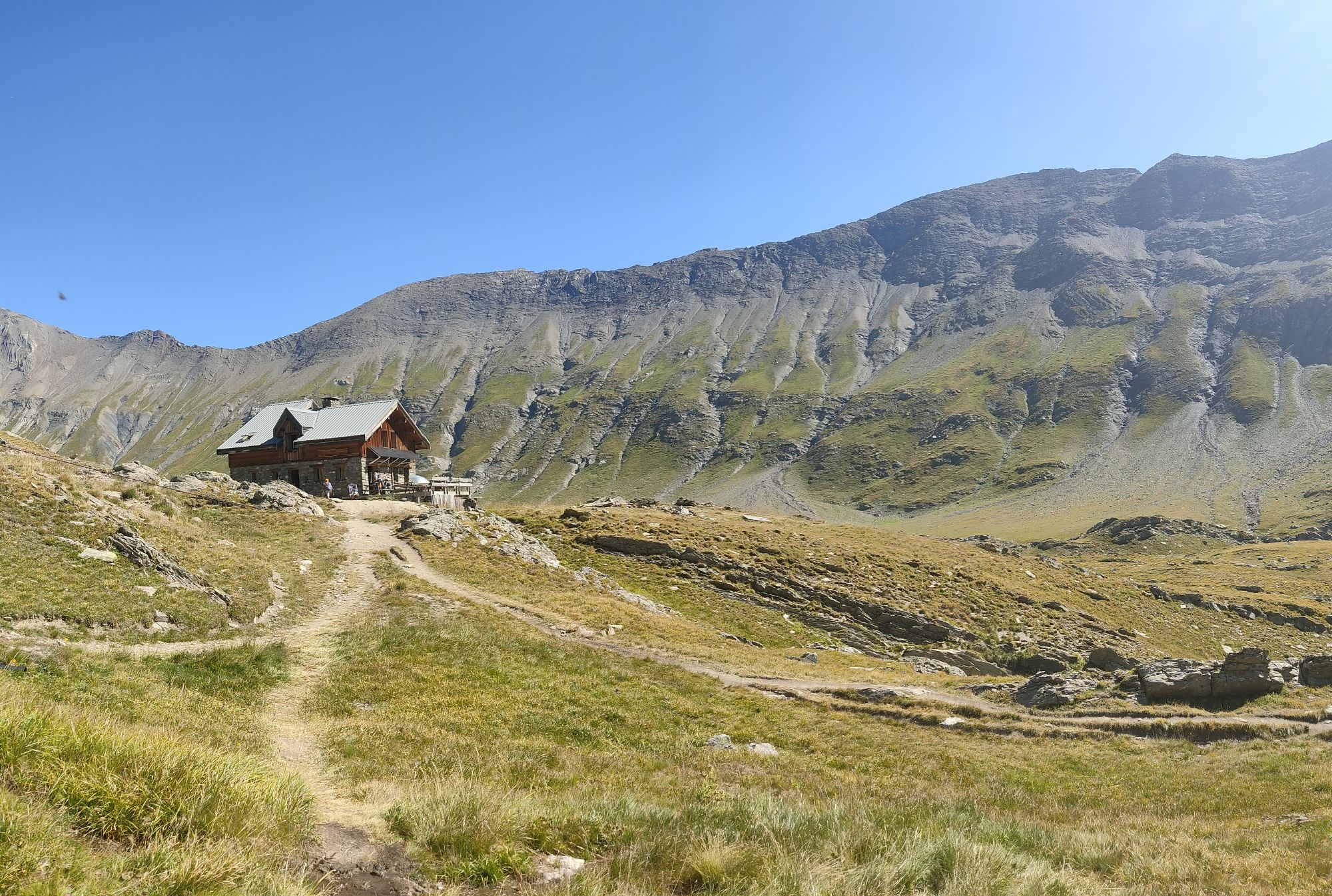relive3.jpg