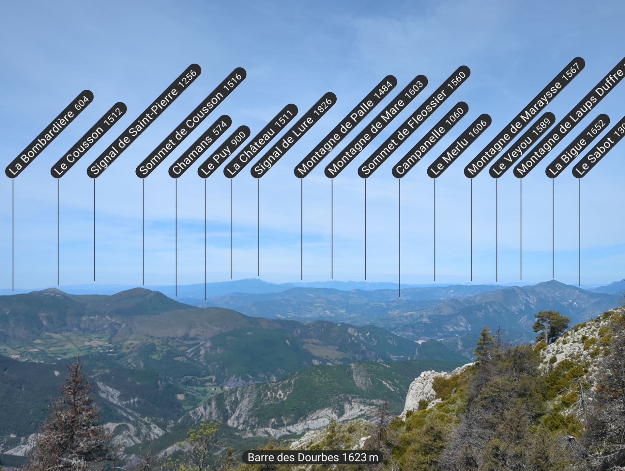 relive1.jpg