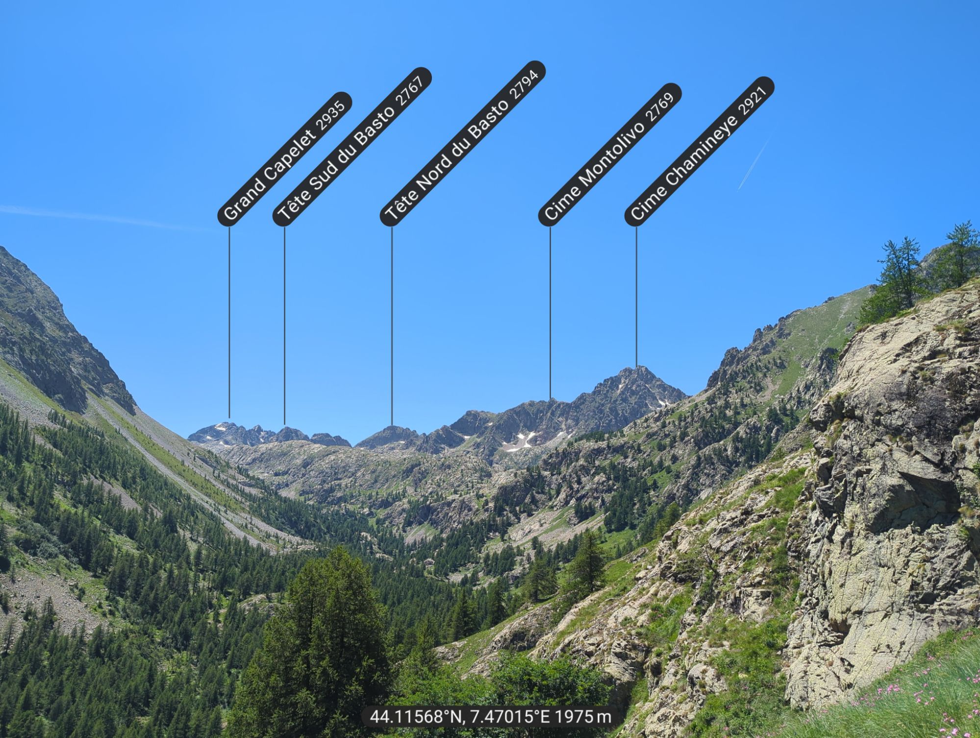 relive1.jpg