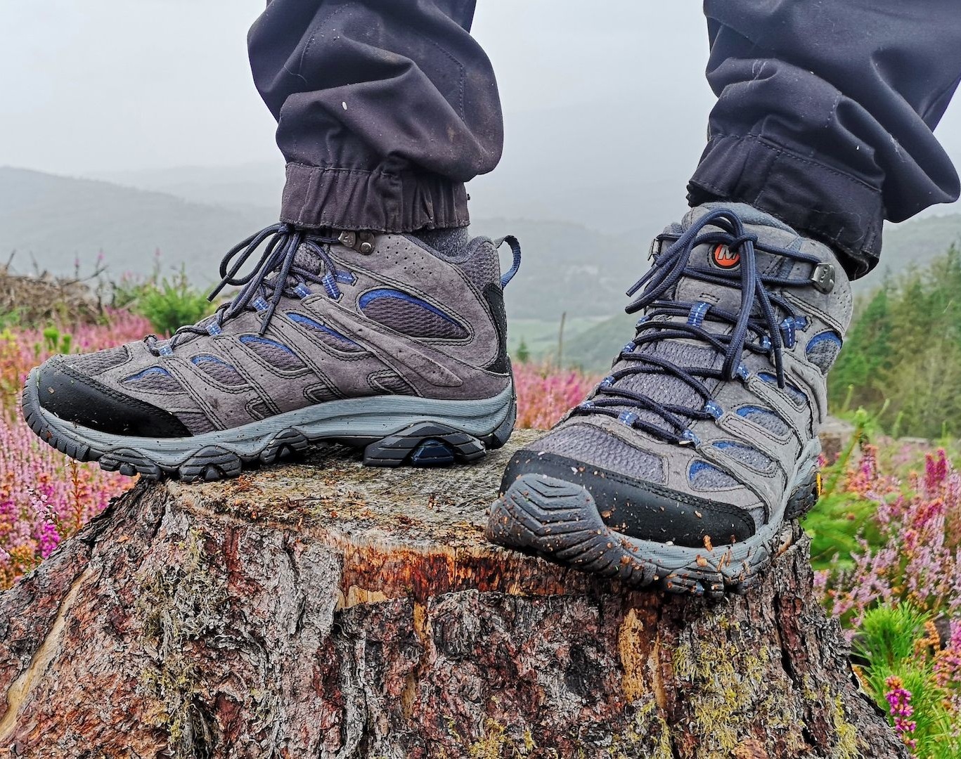 Photo de profil de aranarth13